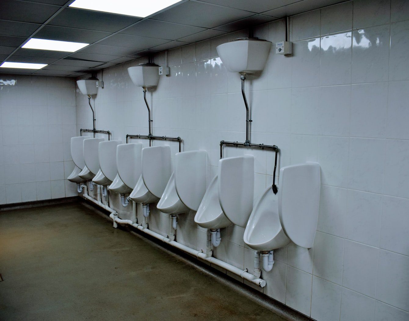 toilet partitions